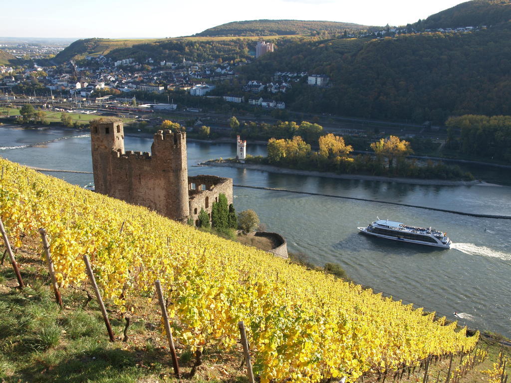 Hotel Lindenwirt Rüdesheim am Rhein Kültér fotó